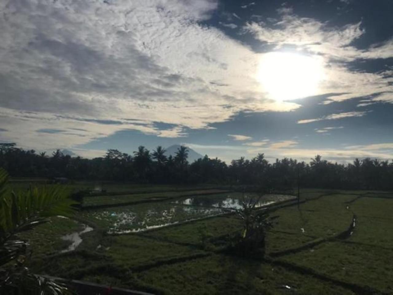 Heavenly View Villa 우붓 외부 사진
